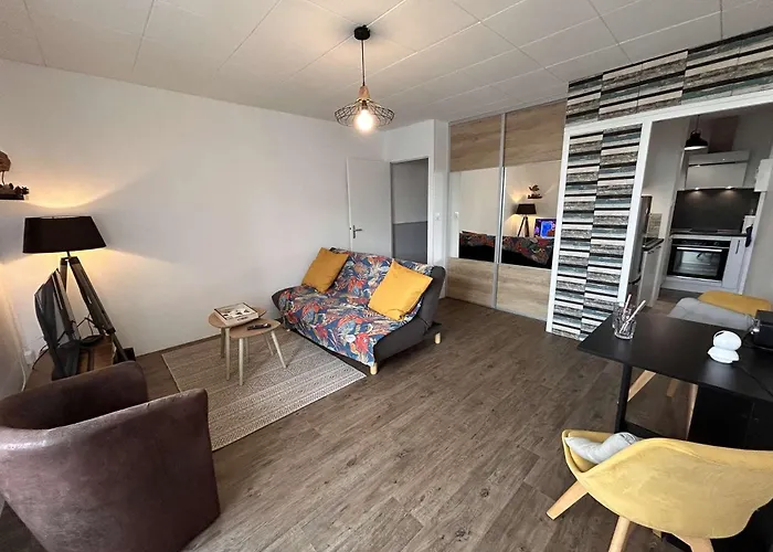 Apartment Sh210-03c - 2 Pieces 3 Couchages Hilaire De Riez